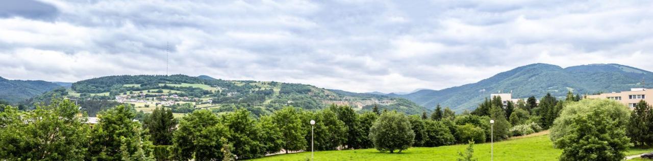 Apartment,Private Parking, Balcony, Smart Check In Banská Bystrica Dış mekan fotoğraf